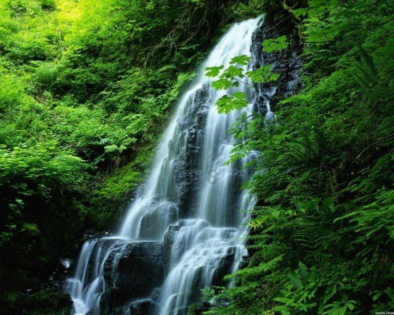 龙地逃生